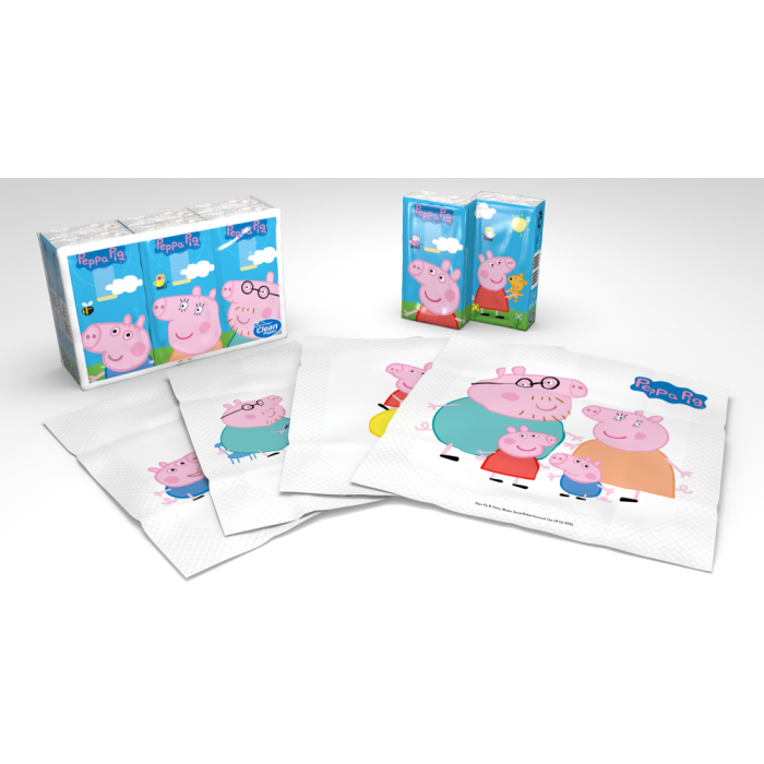 1000013384_Nenaliina_Pipsa_Possu_kuvioitu_6x9_kpl_pakkauskuva_Pakkauskuva21504_jpg